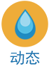 动态